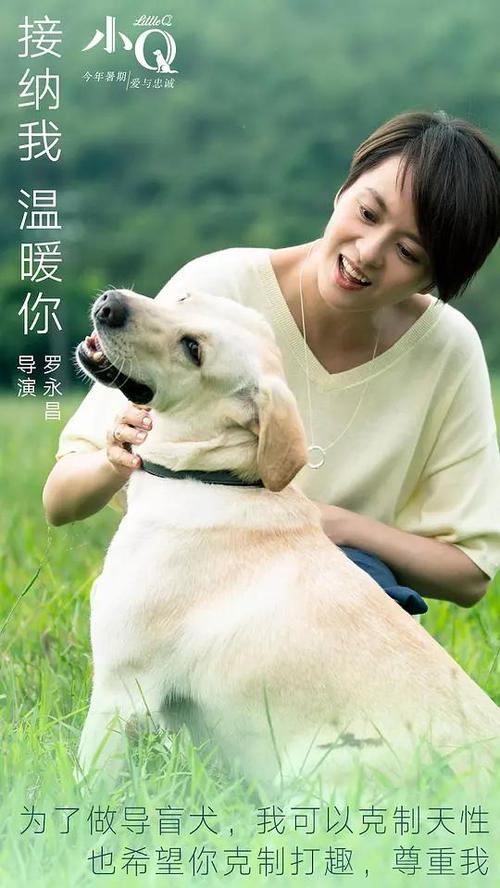 西南佛罗里达州立学院文凭毕业证怎么买假的